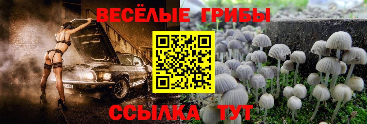 Псилоцибиновые грибы Psilocybine cubensis  магазин продажи   Галлюциногенные грибы Magic Shrooms  Арзамас  Вход с VPN 