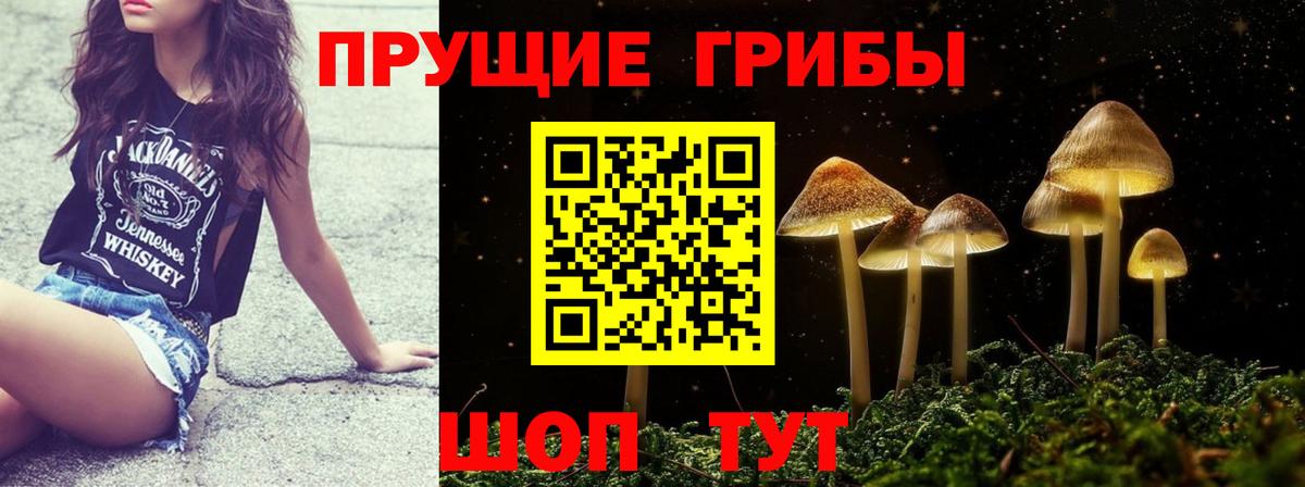 Псилоцибиновые грибы MAGIC MUSHROOMS Арзамас
